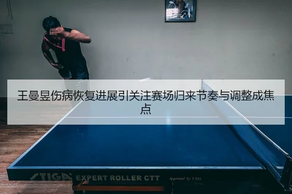 wang-man-yu-shang-bing-hui-fu-jin-zhan-yin-guan-zhu-sai-chang-gui-lai-jie-zou-yu-tiao-zheng-cheng-jiao-dian-3-604.jpg